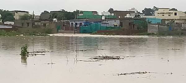 CG News: जांजगीर जिले में पिछले 24 घंटे से लगातार हो रहीं बारिश, जनजीवन हुआ अस्त-व्यस्त, देखें तस्वीरें
