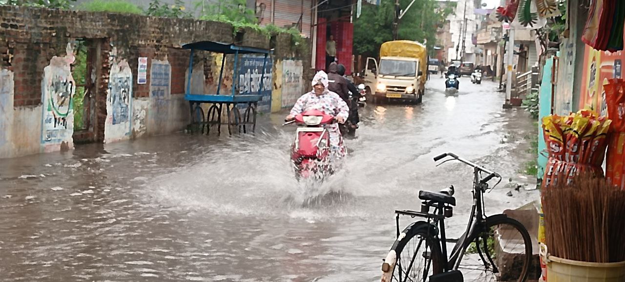 CG News: धमतरी में देर रात से रुक रुककर बारिश जारी, सड़कें हुई जलमग्न, स्कूली
बच्चे हुए परेशान, देखें तस्वीरें