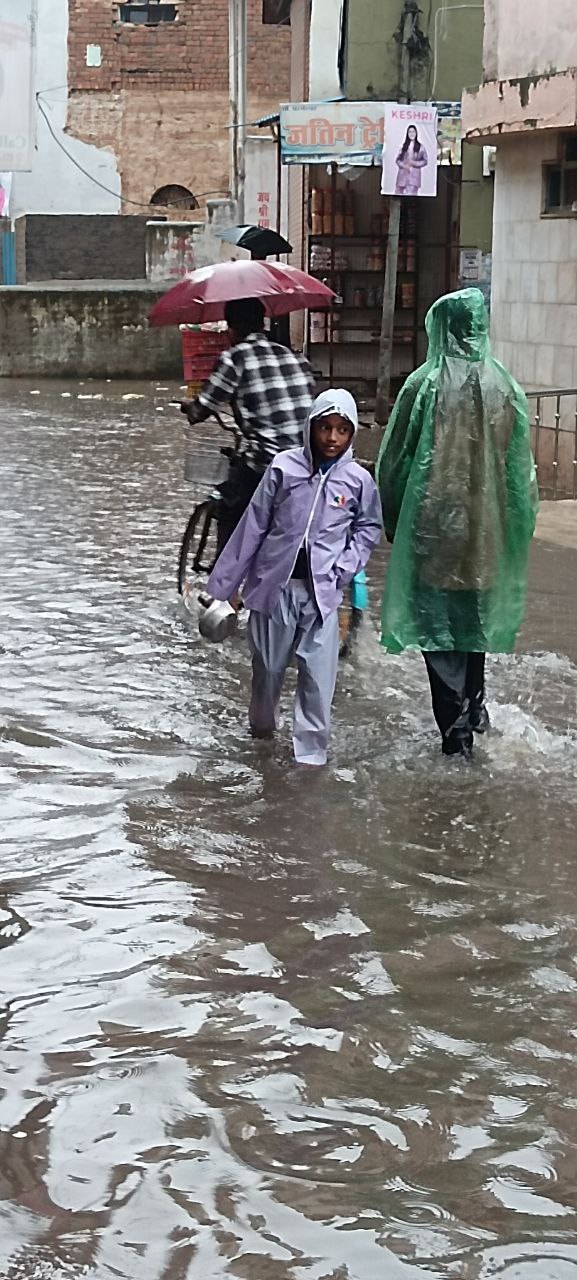 CG News: धमतरी में देर रात से रुक रुककर बारिश जारी, सड़कें हुई जलमग्न, स्कूली बच्चे हुए परेशान, देखें तस्वीरें    
