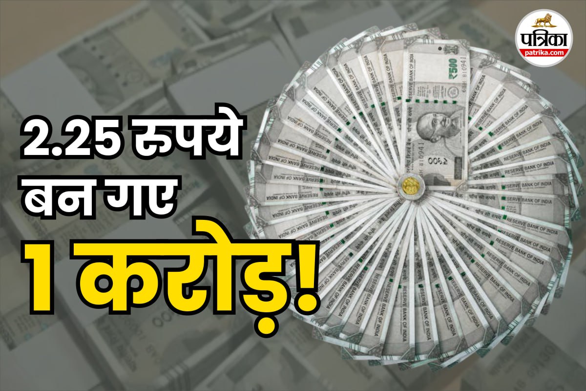 Multibagger Return: 2.25 रुपये बन गए ₹1 करोड़! 16 साल पहले यहां किया होता निवेश
तो आज हो सकते थे करोड़पति