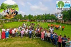 हरियालो राजस्थान: आज राजस्थान में लगाए जाएंगे ढाई करोड़ पौधे, CM भजनलाल राज्य
स्तरीय वन महोत्सव का करेंगे शुभारंभ - image