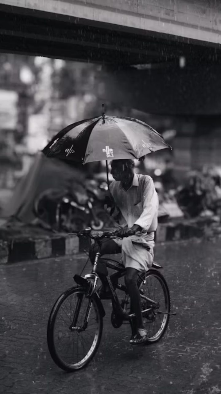 CG Monsoon 2025: 29 जिलों में भारी बारिश का ऑरेंज-येलो अलर्ट जारी, जानें अगले 5 दिन कैसा रहेगा मौसम?