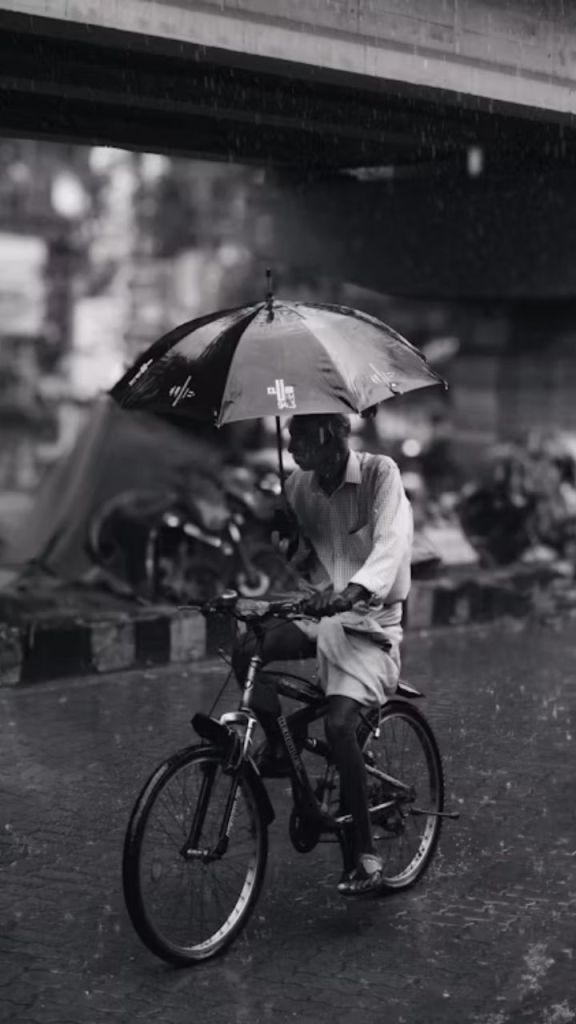 CG Monsoon 2025: 29 जिलों में भारी बारिश का ओरेंज-येलो अलर्ट जारी, जानें अगले 5 दिन कैसा रहेगा मौसम?

