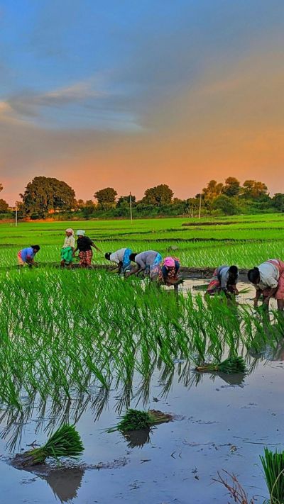 Short video poster image