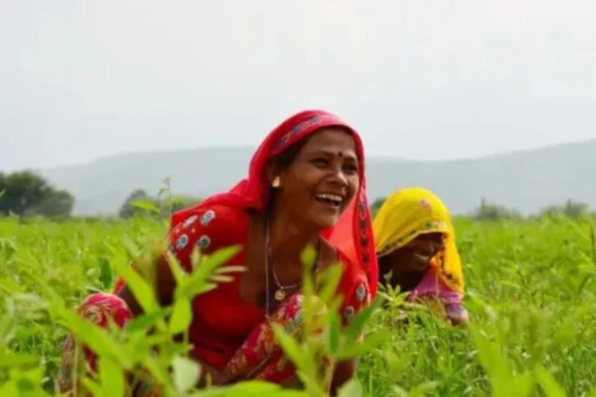 Prime Minister Dhan Dhanya Agriculture Scheme