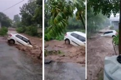 बहने लगी घरों के बाहर खड़ी कारें… राजस्थान में पानी का सैलाब, देखें वीडियो - image