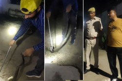 जेल में सांप… पांच फीट के कोबरा को देख कैदियों में हड़कंप, पुलिस वालों के भी हाल
बेहाल, देखें वीडियो - image