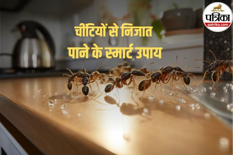 How to get rid of ants in kitchen फोटो सोर्स – Freepik