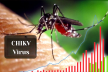 China Sees CHIKV Virus Surge Following COVID-19, Global Cases Exceed 200,000
This Year