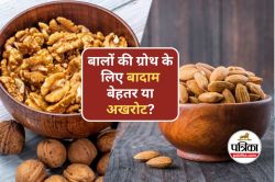 Almonds or Walnuts for Hair Growth : बालों की ग्रोथ के लिए बादाम बेहतर या अखरोट? - image