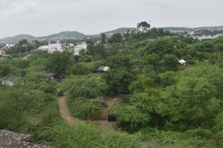 Animel Hospital in rajsamand news