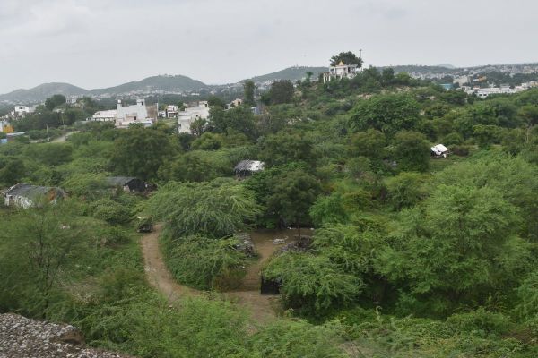 Animel Hospital in rajsamand news