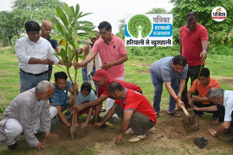 Haryalo Rajasthan campaign started in Bharatpur saplings will be planted every day