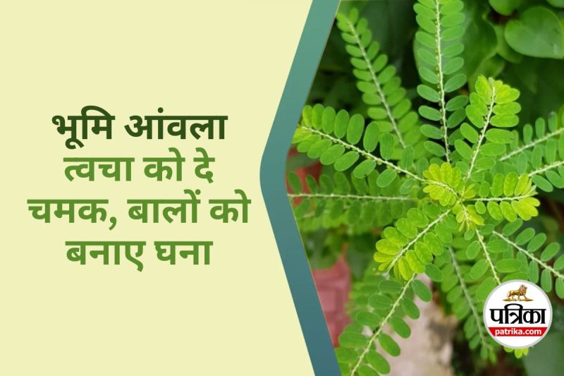 Bhumi Amla Benefits