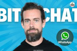 WhatsApp की होगी छुट्टी! लॉन्च हुआ SIM और बिना इंटरनेट वाला चैटिंग App, जानिए
कितना अलग - image