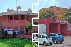 15 साल से खानापूर्ति… श्वानों की संख्या पर सीमित नहीं कर सकी शहरी सरकारें - image