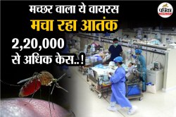 कोरोना के बाद चीन में CHIKV Virus का कहर, दुनिया भर में 2 लाख से अधिक केस इस साल - image