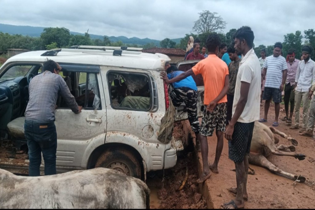 Cattle smuggling