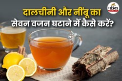 Cinnamon And Lemon Drink: बिना जिम जाए तेजी से घटा सकते हैं वजन, बस रोज पीएं
दालचीनी और नींबू का ये नेचुरल ड्रिंक - image