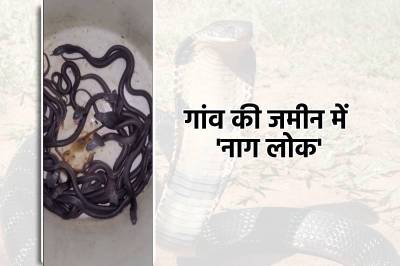 Short video poster image