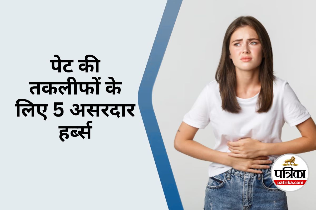 Constipation or Stomach Pain : कब्ज और पेट दर्द? इन घरेलू हर्ब्स से पाएं झटपट
राहत
