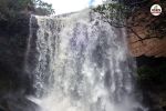 सैलानियों के लिए मानसून ट्रैकिंग (फोटो सोर्स- पत्रिका)