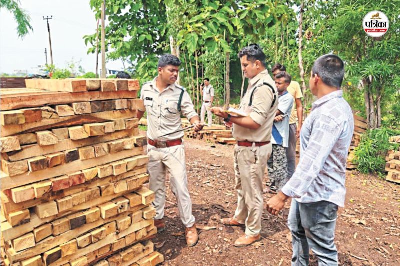 गुढ़ियारी में चल रहा था अवैध आरा मिल (फोटो सोर्स- पत्रिका)
