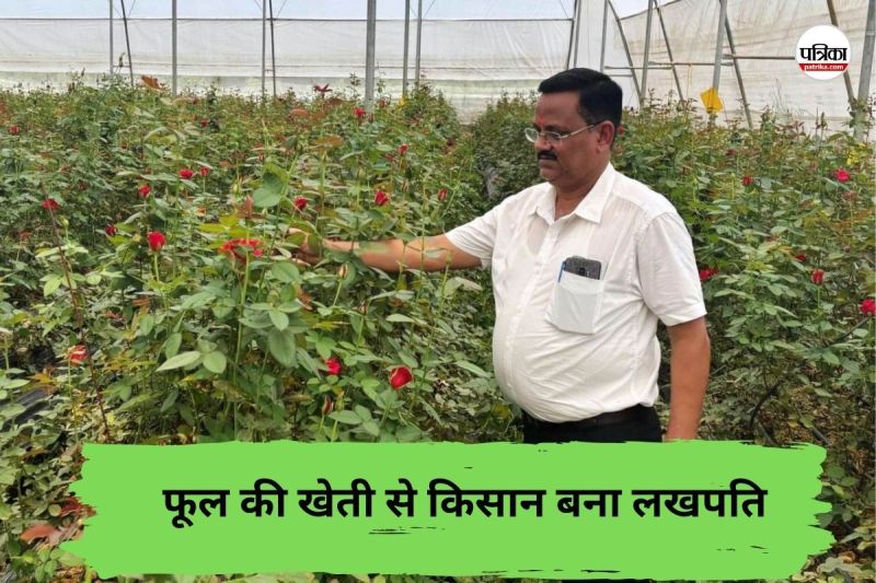 CG News: छत्तीसगढ़ में इस फूल की खेती से किसान बना लखपति, हर साल हो रहा 10 लाख का मुनाफा