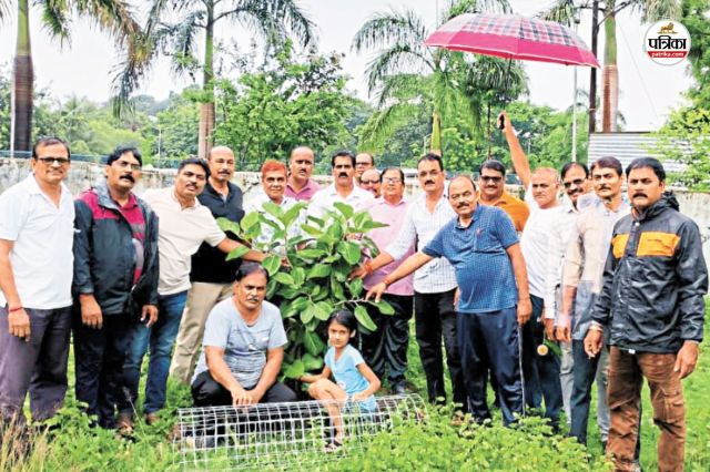 Patrika Harit Pradesh: हरेली पर्व पर धरती का किया श्रृंगार, लोगों ने किया पौधरोपण, पौधों को पेड़ बनाने का लिया संकल्प