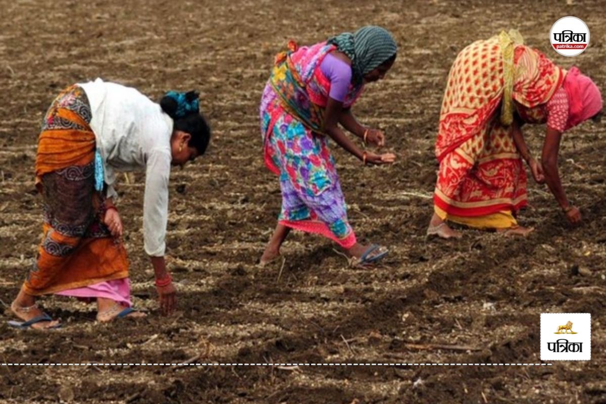 CG News: फॉर्मर रजिस्ट्री के तहत किसान स्वयं ही कर सकते हैं अपना पंजीयन, जानें
पूरी detail…