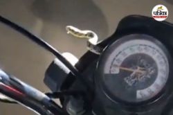 बारिश में चलती बाइक से अचानक निकला सांप, Video देख लोगों ने पकड़ा माथा - image