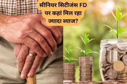 Senior Citizens को 1, 2, 3 और 5 साल की FD पर यहां मिल रहा सबसे ज्यादा ब्याज,
10,000 रुपये डालें तो कितने मिलेंगे वापस? - image