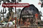 विश्व का सबसे बड़ा स्वयंभू शिवलिंग (Photo source- Patrika)
