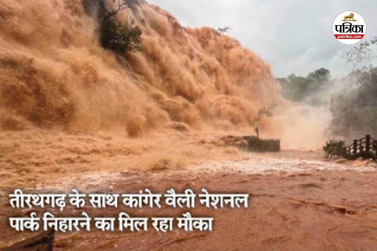 पुकार रही प्रकृति… खिंचे चले आ रहे टूरिस्ट, फेनिल जलधाराओं के बीच निखरा है
जलप्रपातों का सौंदर्य