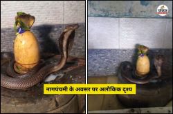 नागपंचमी पर अद्भुत संयोग: शिवलिंग पर प्रकट हुआ नाग, भक्तों ने लिया आशीर्वाद,
देखें Video - image
