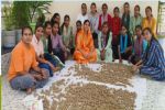 गुलेल से पहाड़ों-जंगलों की हरियाली से भरेंगे गोद, प​त्रिका फोटो