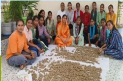 Rajsamand: गुलेल बना हरियाली का यंत्र…नारी शक्ति पहाड़ों-जंगलों की हरियाली से
भरेगी गोद - image