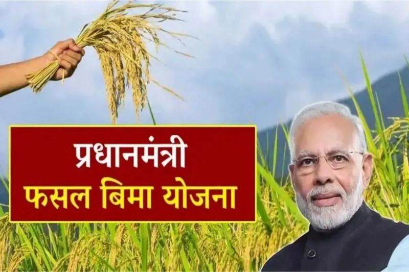 प्रधानमंत्री फसल बीमा योजना में 31 जुलाई तक आवेदन, पत्रिका फोटो