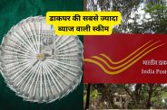Highest Interest Post Office Scheme