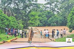 चोरहा नाले में बहे युवक की तलाश जारी, बाढ़ में फंसे तीन लोगों को SDRF ने बचाया… - image