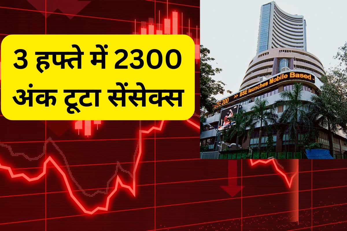 Why Share Market Fall