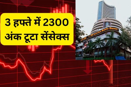Why Share Market Fall