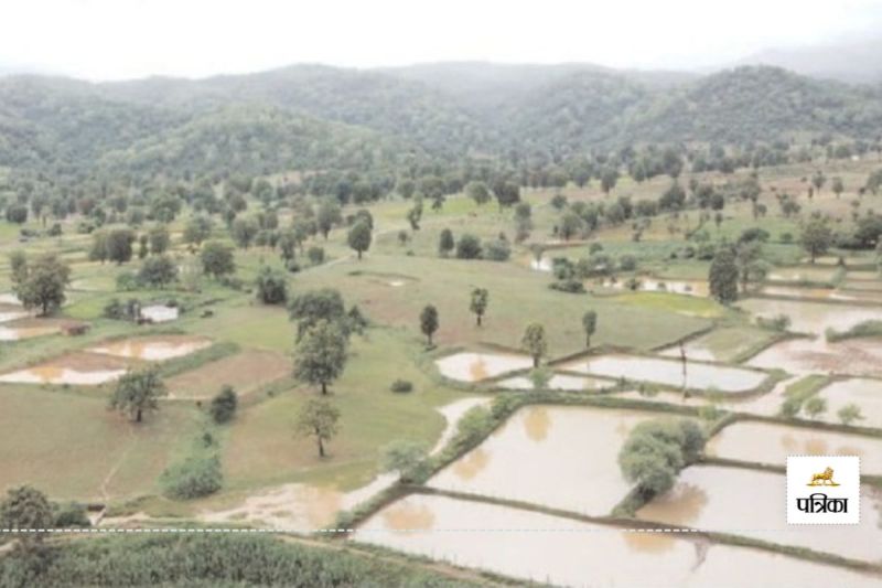 CG Weather News: लगातार बारिश से जलस्तर बढ़ा(photo-patrika)