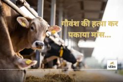 CG News: गौवंश मांस पकाने का मामला, महिला समेत चार आरोपी गिरफ्तार, भेजे गए जेल… - image