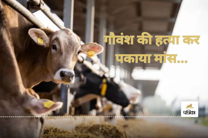 गौवंश मांस पकाने का मामला,(photo-unsplash)