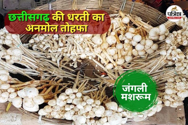 बस्तर की संस्कृति का स्वाद और स्वाभिमान (Photo source- Patrika)