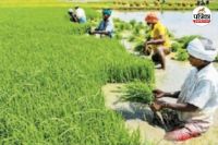 किसानों के लिए चुनौती बना नया सिस्टम (Photo source- Patrika)