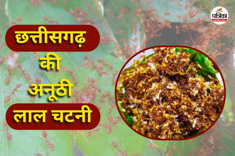 चापड़ा चटनी का अनोखा स्वाद (Photo source- Patrika)