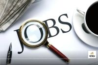 राज्य स्तरीय रोजगार मेला आज से 12 तक, 9500(photo-patrika)