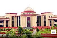 सड़क हादसे में 14 मवेशियों की मौत(photo-patrika)